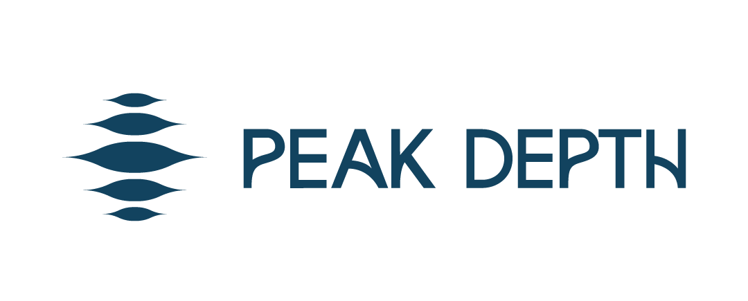 Peak Depth Consulting